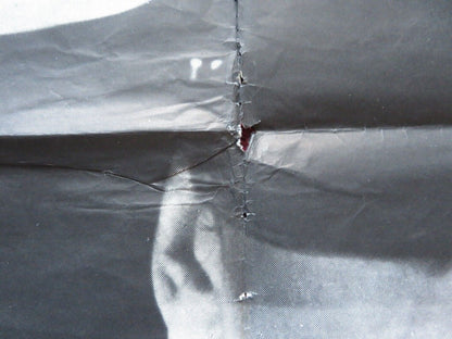 FEDORA ARGENTINA ONE SHEET POSTER WILLIAM HOLDEN MARTHE KELLER 1978 - Rendezvous Cinema