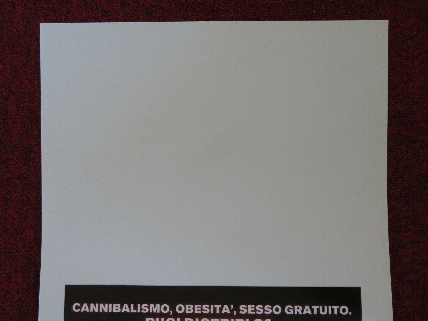 FEED ITALIAN LOCANDINA (27.5"x13") POSTER ALEXO'LOUGHLIN PATRICK THOMPSON 2005 - Rendezvous Cinema