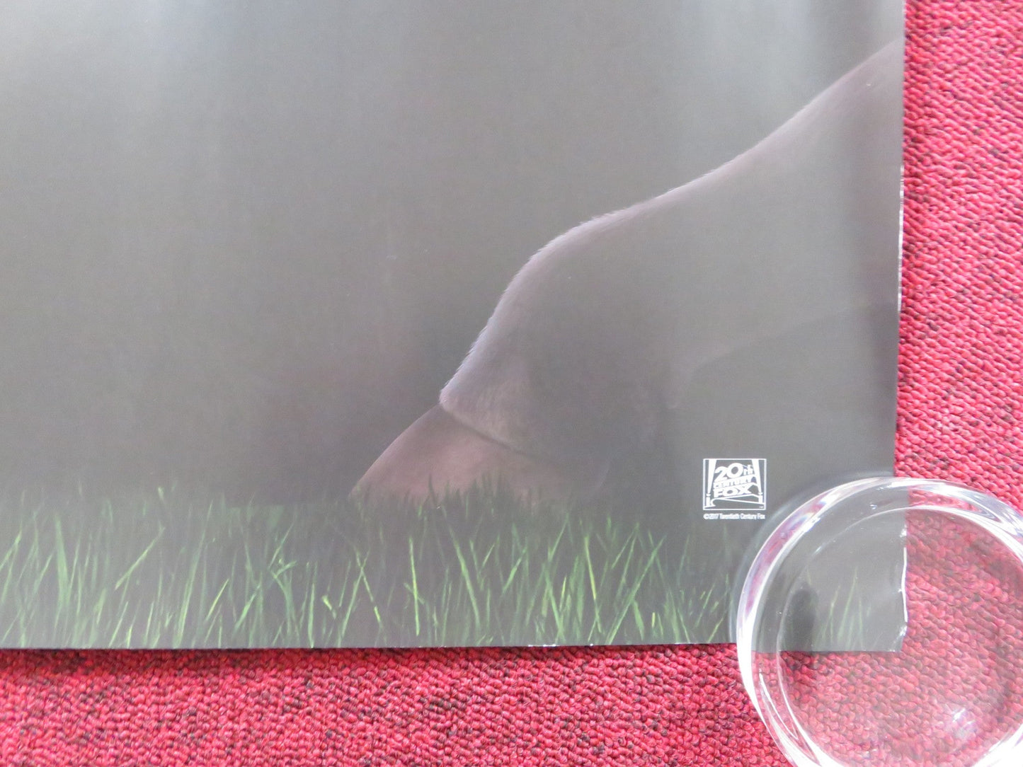 FERDINAND UK QUAD ROLLED POSTER JACK GORE JET JURGENSMEYER 2017 Rendezvous Cinema Movie posters