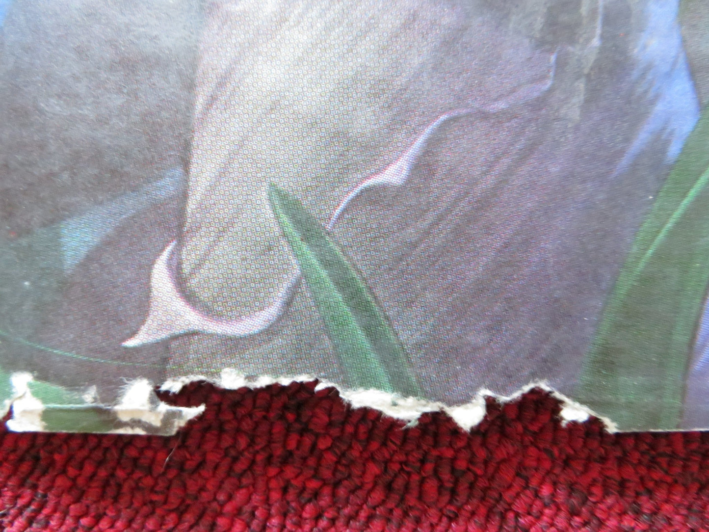 FERNGULLY: THE LAST RAINFOREST QUAD POSTER FOLDED TIM CURRY S.MATHIS 1992 Rendezvous Cinema Movie posters