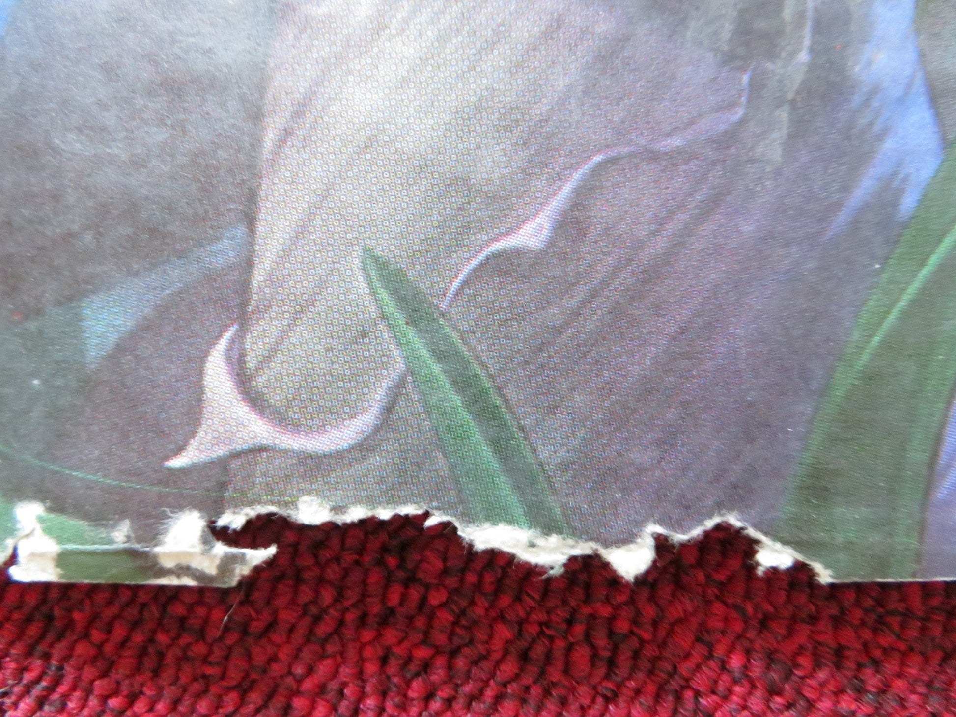 FERNGULLY: THE LAST RAINFOREST QUAD POSTER FOLDED TIM CURRY S.MATHIS 1992 Rendezvous Cinema Movie posters