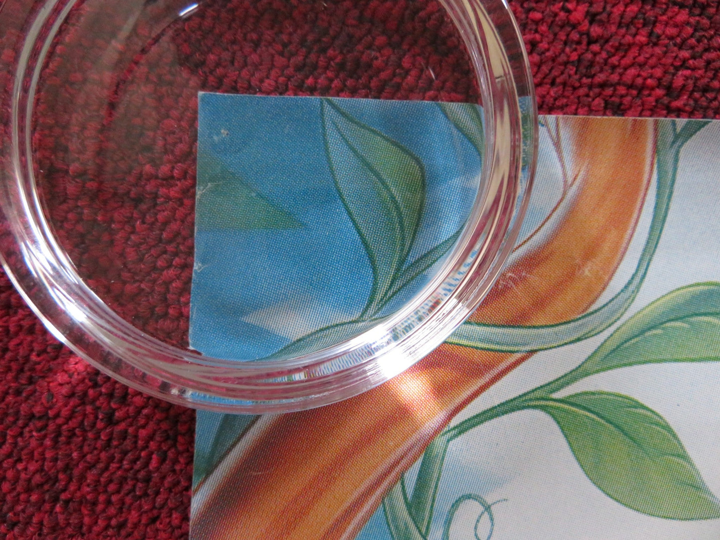 FERNGULLY: THE LAST RAINFOREST VHS VIDEO POSTER ROLLED TIM CURRY S.MATHIS 1992 Rendezvous Cinema Movie posters