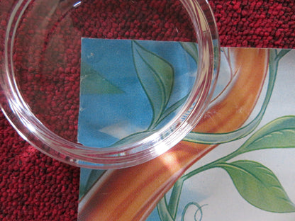 FERNGULLY: THE LAST RAINFOREST VHS VIDEO POSTER ROLLED TIM CURRY S.MATHIS 1992 Rendezvous Cinema Movie posters