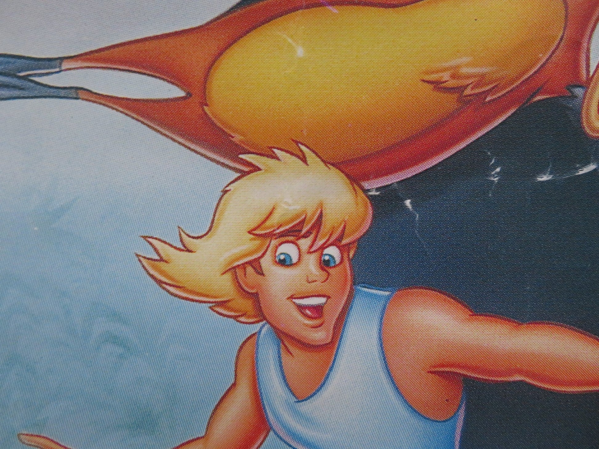 FERNGULLY: THE LAST RAINFOREST VHS VIDEO POSTER ROLLED TIM CURRY S.MATHIS 1992 Rendezvous Cinema Movie posters