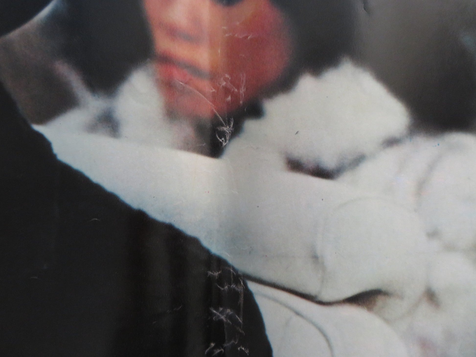 FIGHTING BACK - C ITALIAN FOTOBUSTA POSTER TOM SKERRITT PATTI LUPONE 1983 Rendezvous Cinema Movie posters