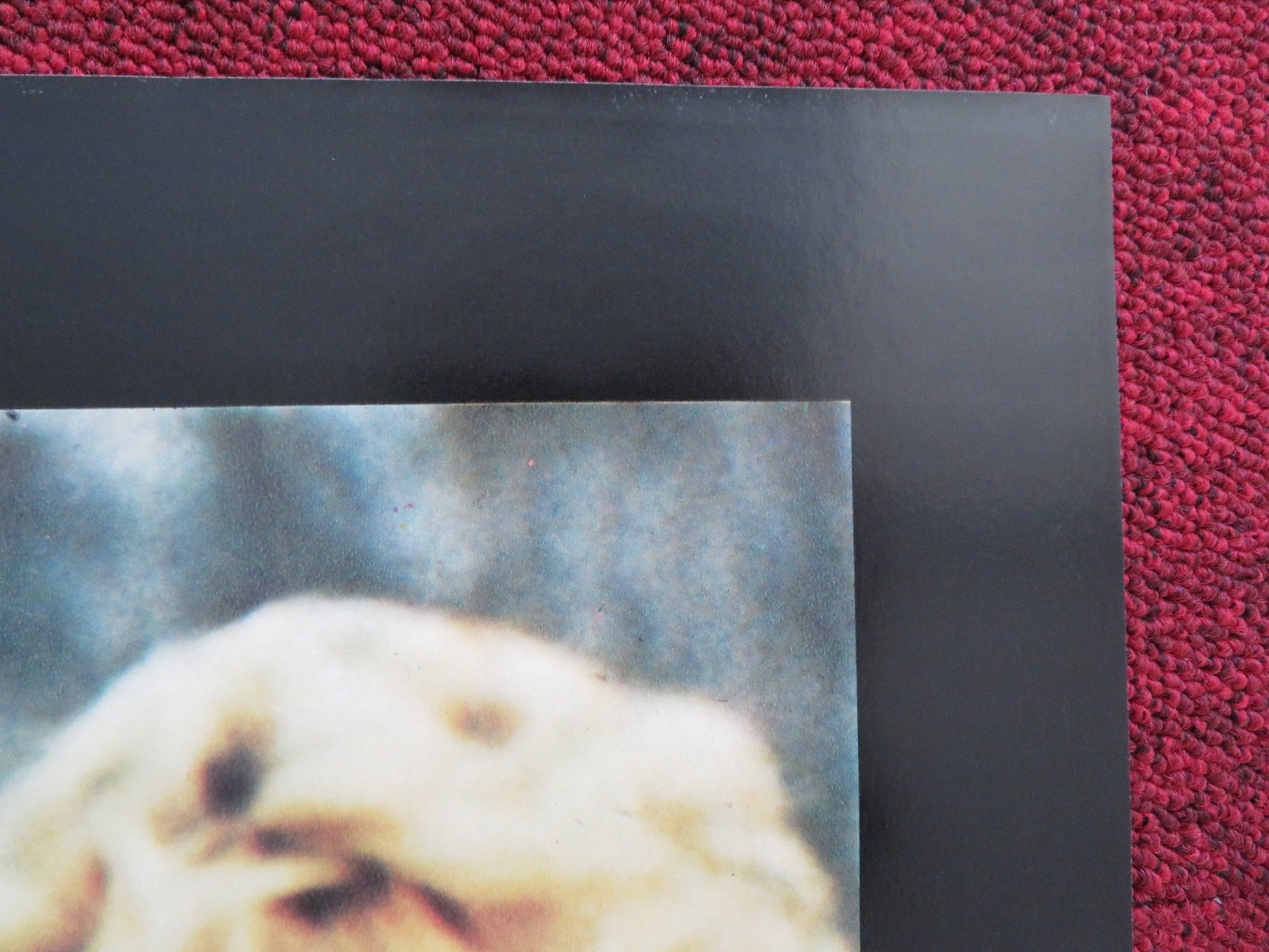 FIGHTING BACK - C ITALIAN FOTOBUSTA POSTER TOM SKERRITT PATTI LUPONE 1983 Rendezvous Cinema Movie posters