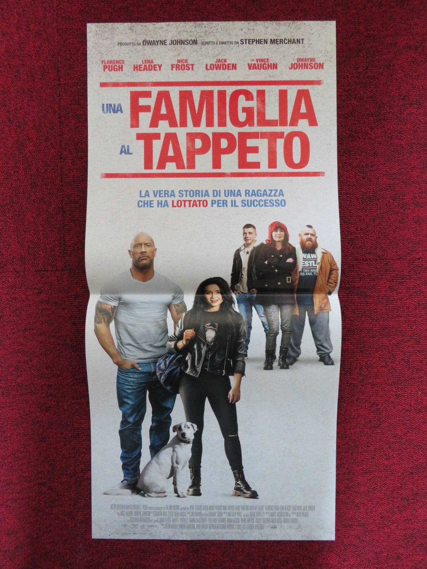 FIGHTING WITH MY FAMILY ITALIAN LOCANDINA POSTER DWAYNE JOHNSON NICK FROST 2019 Rendezvous Cinema Movie posters