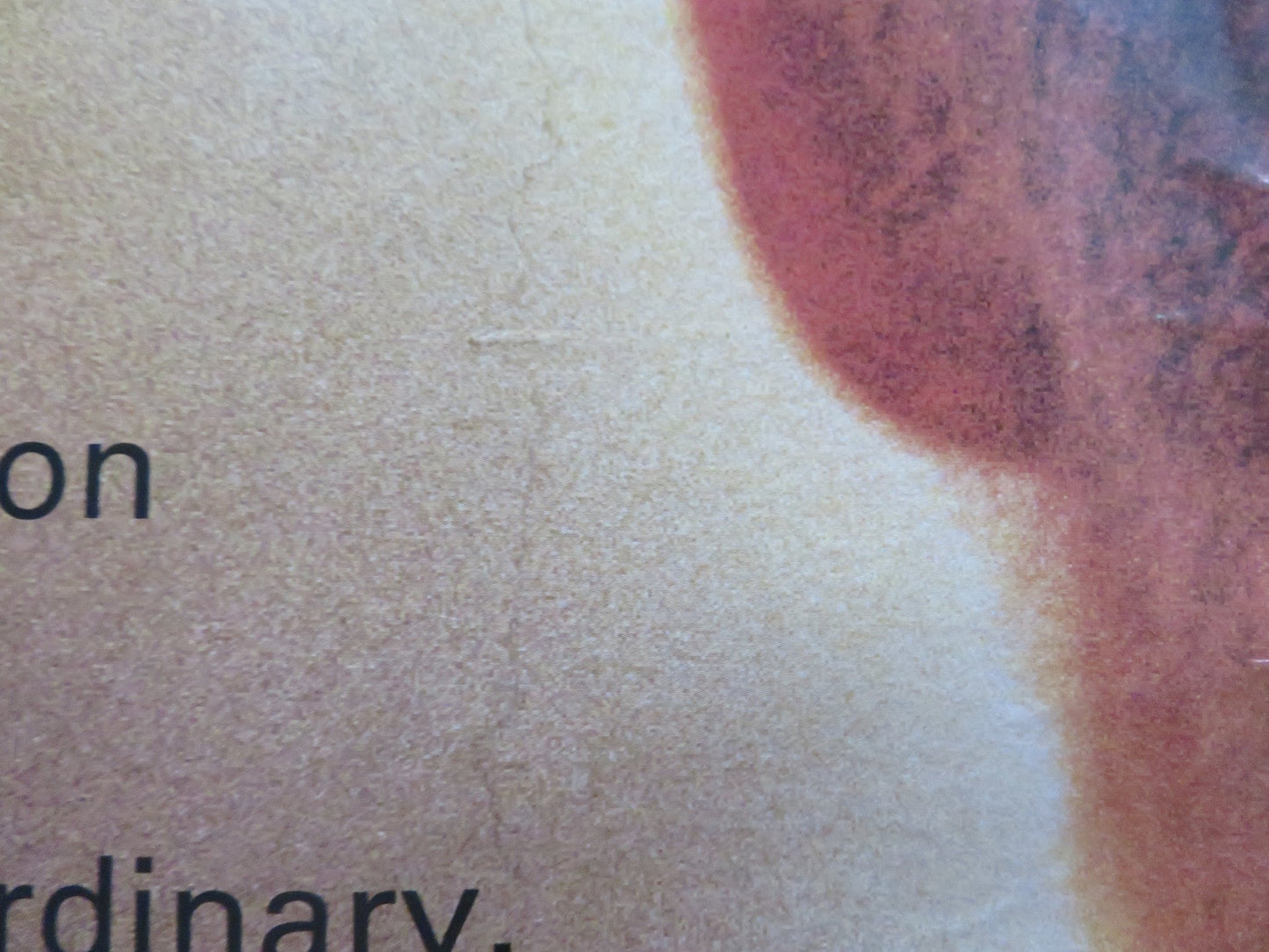 FINDING FORRESTER UK QUAD (30"x 40") ROLLED POSTER SEAN CONNERY ROB BROWN 2000 Rendezvous Cinema Movie posters