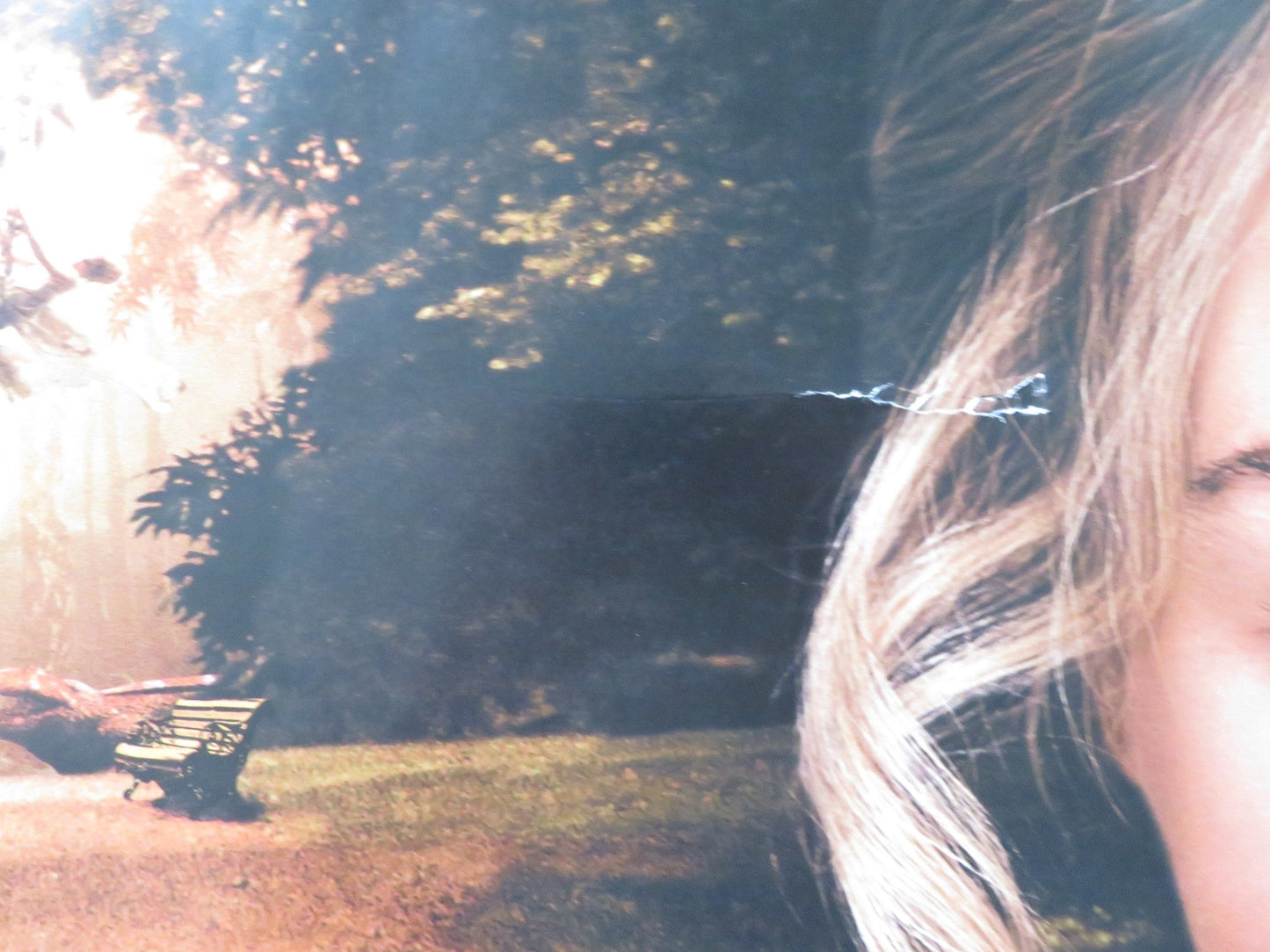 FINDING NEVERLAND UK QUAD (30"x 40") ROLLED POSTER JOHNNY DEPP KATE WINSLET 2004 Rendezvous Cinema Movie posters