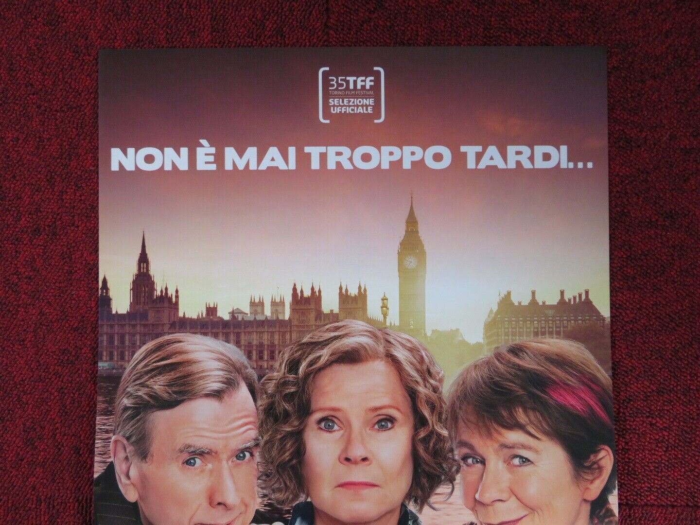 FINDING YOUR FEET ITALIAN LOCANDINA (26.5"x12.5") POSTER IMELDA STAUTON 2017 Movie posters