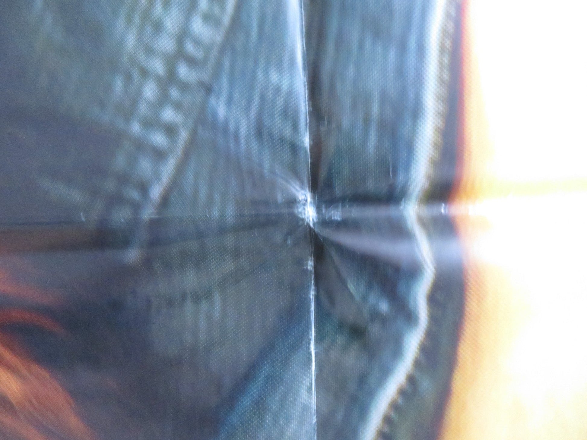 FIREHOUSE DOG ITALIAN 2 FOGLIO POSTER JOSH HUTCHERSON BRUCE GREENWOOD 2007 Rendezvous Cinema Movie posters