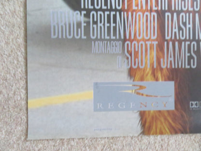 FIREHOUSE DOG ITALIAN 2 FOGLIO POSTER JOSH HUTCHERSON BRUCE GREENWOOD 2007 Rendezvous Cinema Movie posters