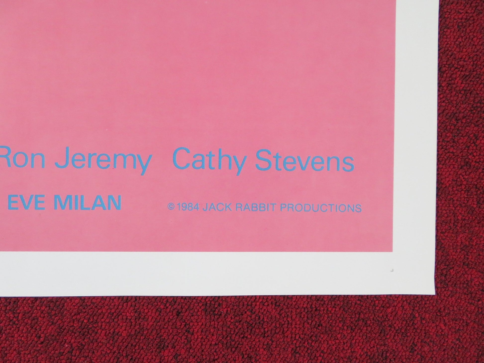 FIRST TIME AT CHERRY HIGH US TRI FOLDED ONE SHEET ROLLED POSTER R. SYMMER 1984 Rendezvous Cinema Movie posters