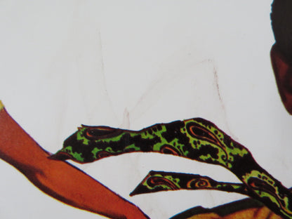 FITZWILLY US INSERT (14"x 36") POSTER DICK VAN DYKE BARBARA FELDON 1967 Rendezvous Cinema Movie posters