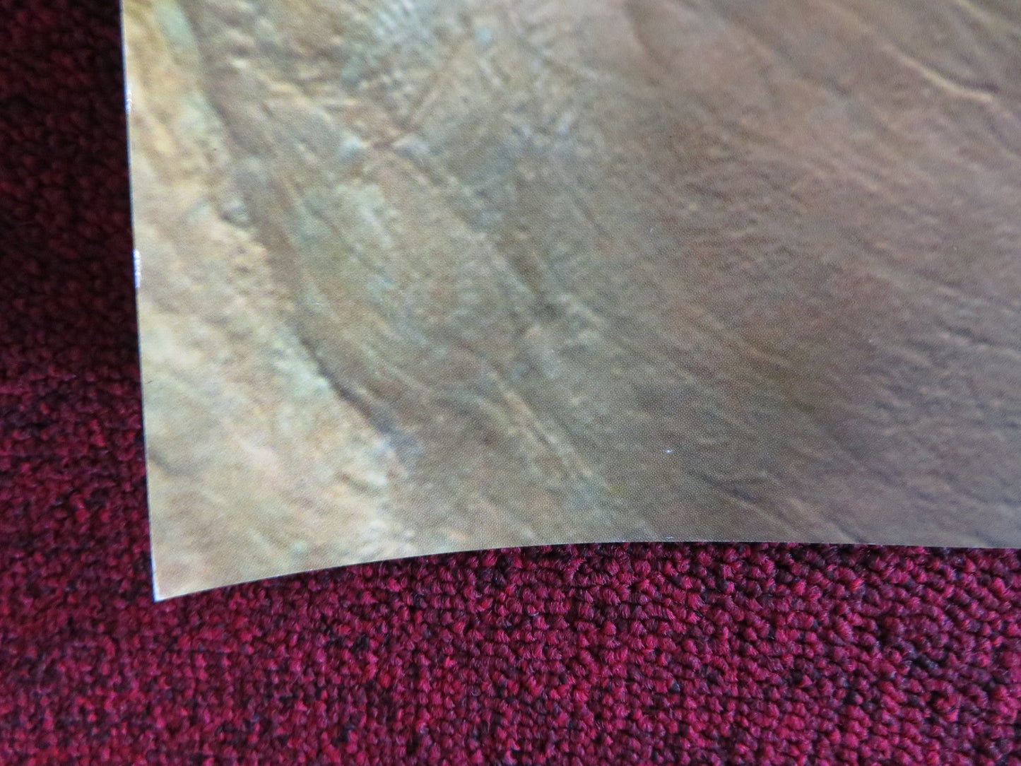 FIVE CHILDREN AND IT UK QUAD (30"x 40") ROLLED POSTER TARA FITZGERALD 2004 Rendezvous Cinema Movie posters