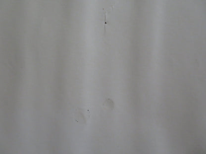 FIVE CHILDREN AND IT UK QUAD (30"x 40") ROLLED POSTER TARA FITZGERALD 2004 Rendezvous Cinema Movie posters