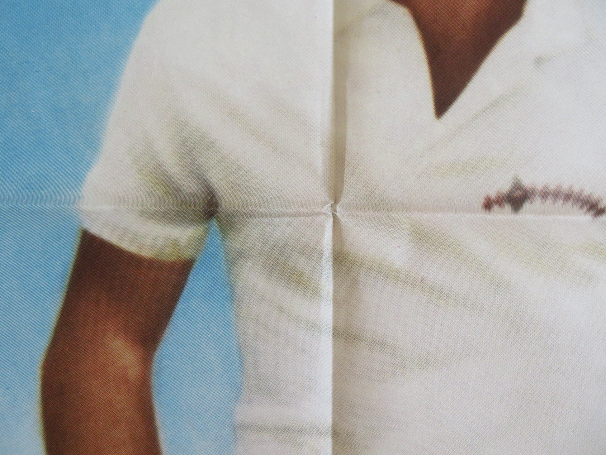 FLAMINGO KID ITALIAN 2 FOGLIO POSTER MATT DILLON HECTOR ELIZONDO 1984 Rendezvous Cinema Movie posters