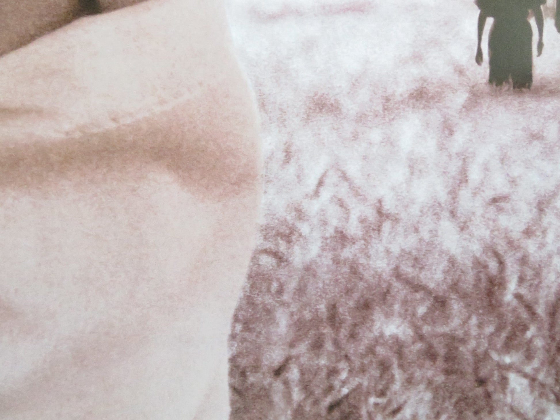 FLESH AND BONE US ONE SHEET ROLLED POSTER JAMES CAAN DENNIS QUAID MEG RYAN 1993 Rendezvous Cinema Movie posters