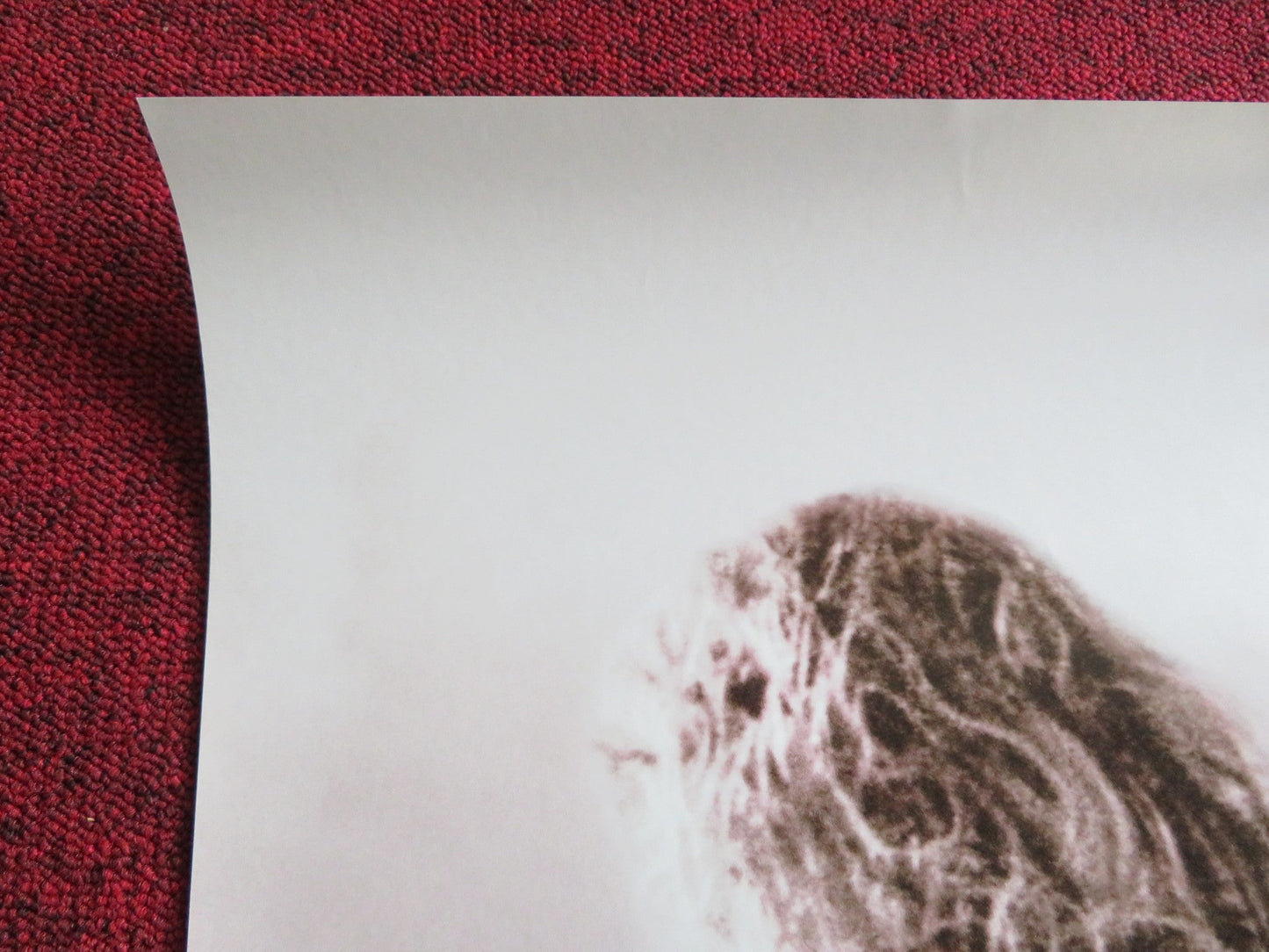 FLESH AND BONE US ONE SHEET ROLLED POSTER JAMES CAAN DENNIS QUAID MEG RYAN 1993 Rendezvous Cinema Movie posters