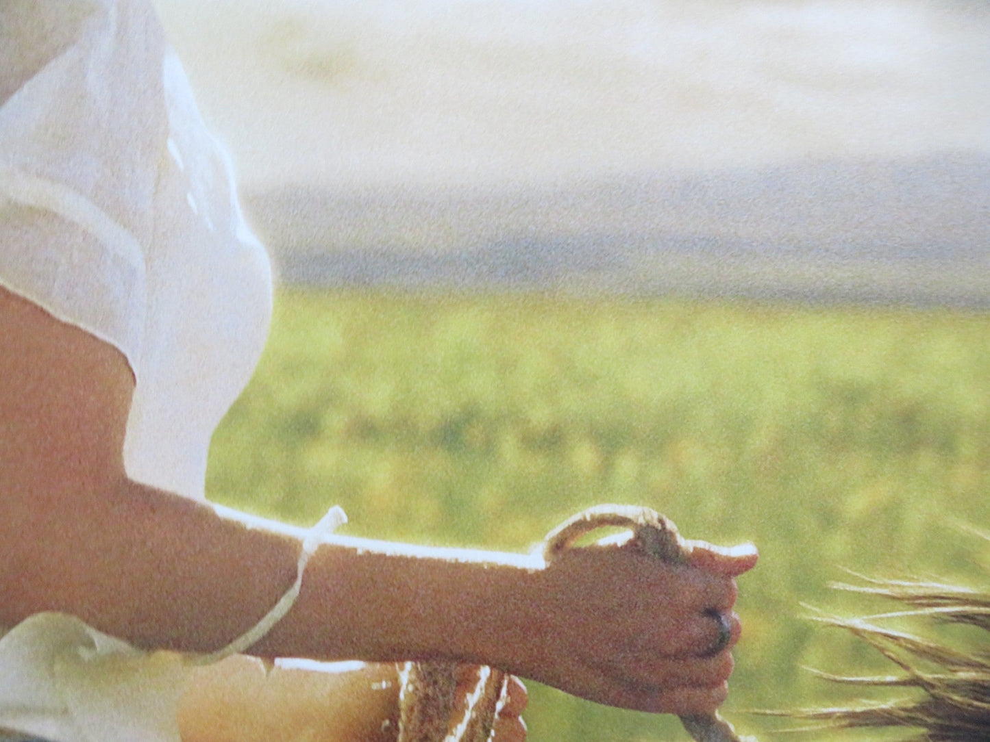 FLICKA US ONE SHEET ROLLED POSTER TIM MCGRAW MARIA BELLO 2006 Rendezvous Cinema Movie posters