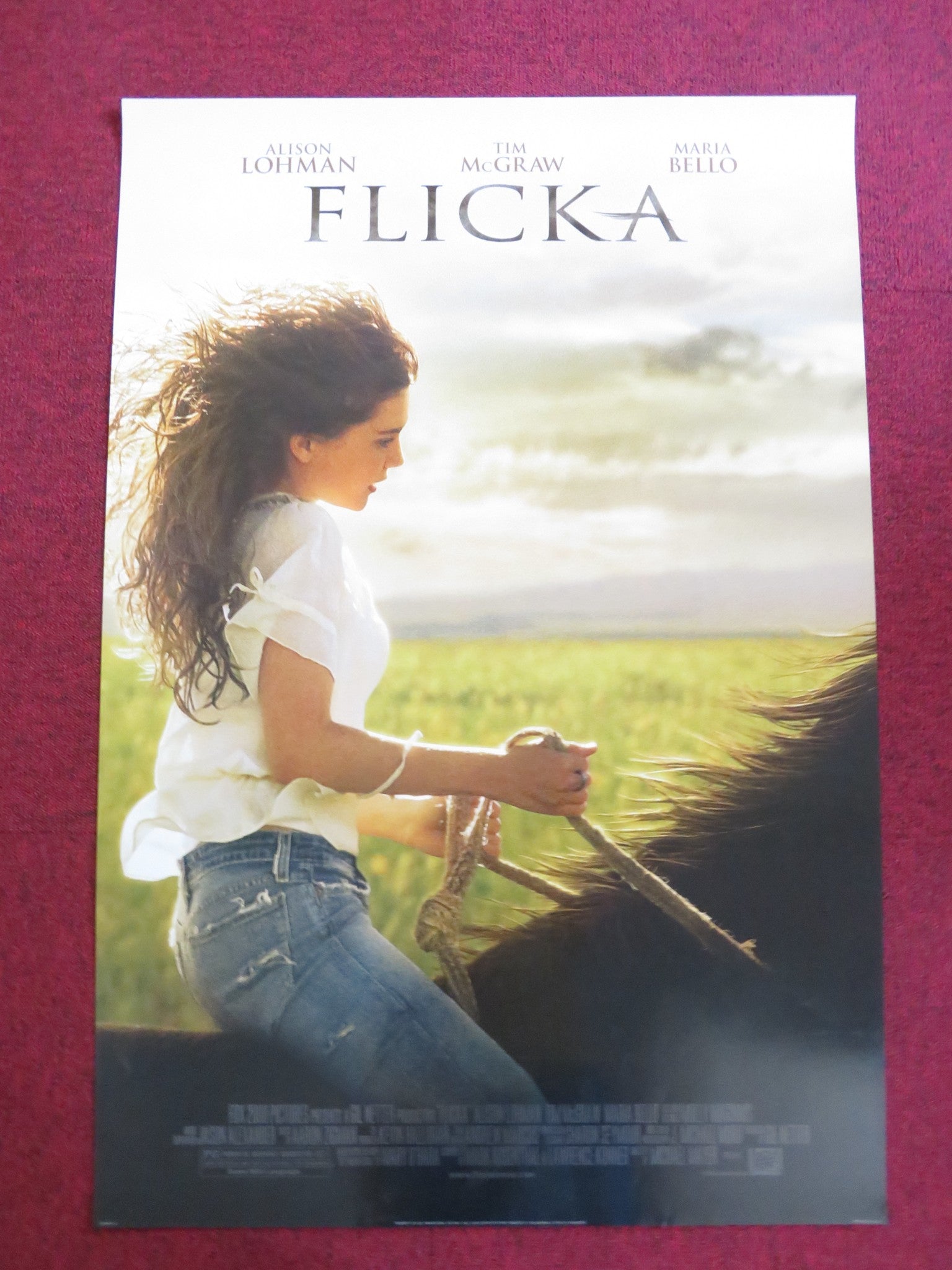 FLICKA US ONE SHEET ROLLED POSTER TIM MCGRAW MARIA BELLO 2006 ...