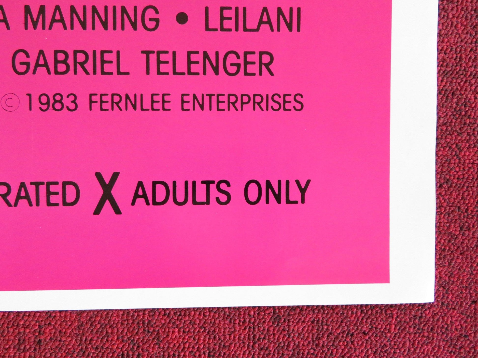 FLIGHT SENSATIONS US TRI FOLDED ONE SHEET ROLLED POSTER SEKA JOHN HOLMES 1983 Rendezvous Cinema Movie posters