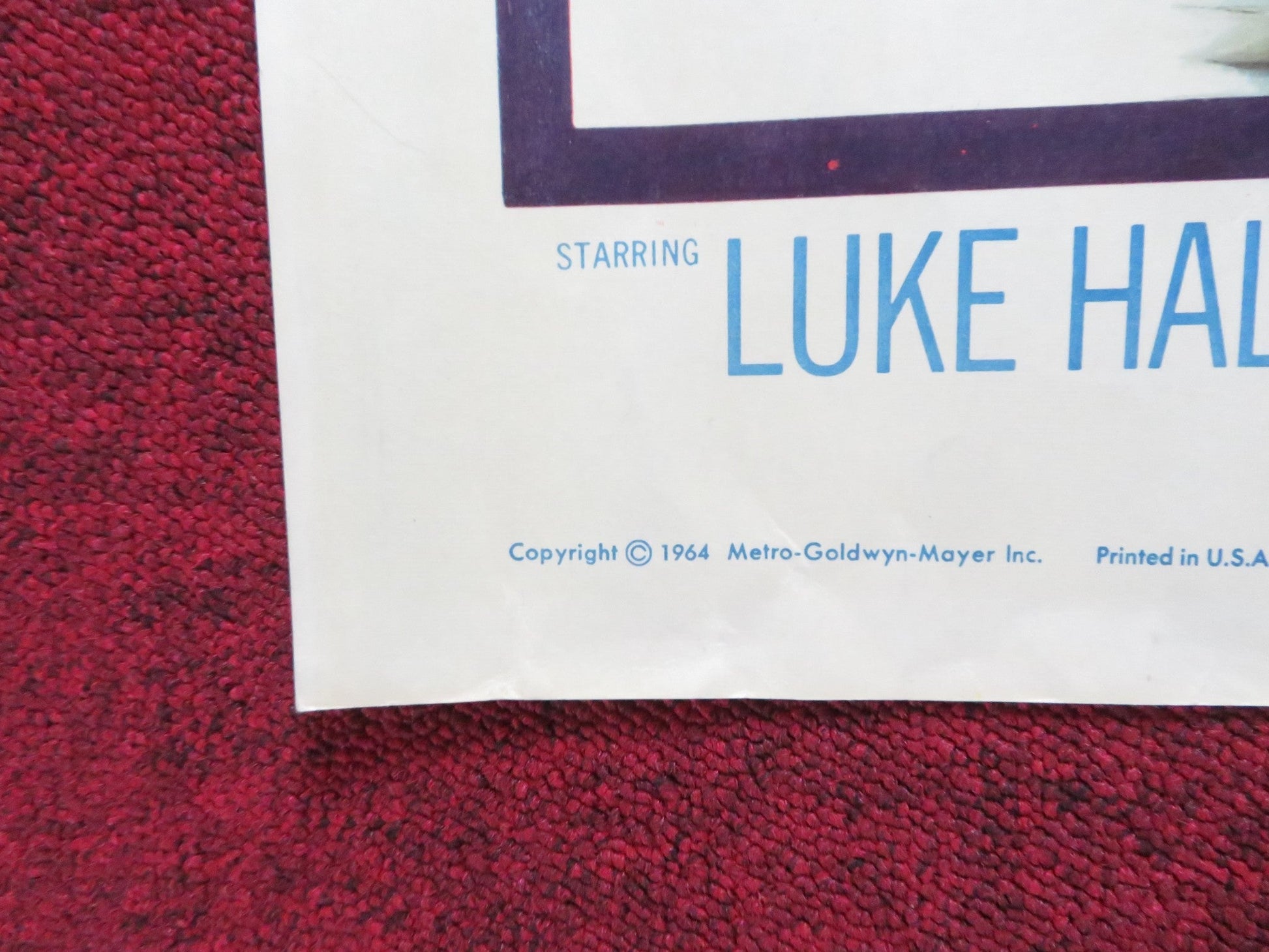 FLIPPER'S NEW ADVENTURE US HALF SHEET (22"x 28") POSTER HALPIN FRANKLIN 1964 Rendezvous Cinema Movie posters