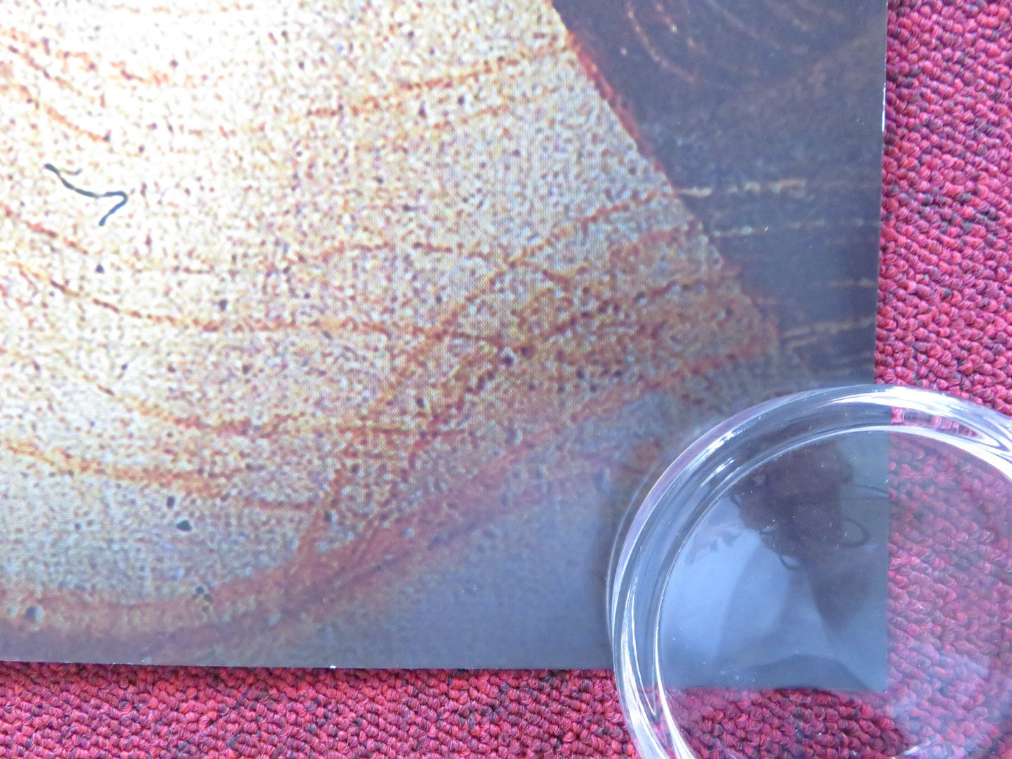 FLORENCE AND THE UFFIZI GALLERY UK QUAD ROLLED POSTER 2015 Rendezvous Cinema Movie posters