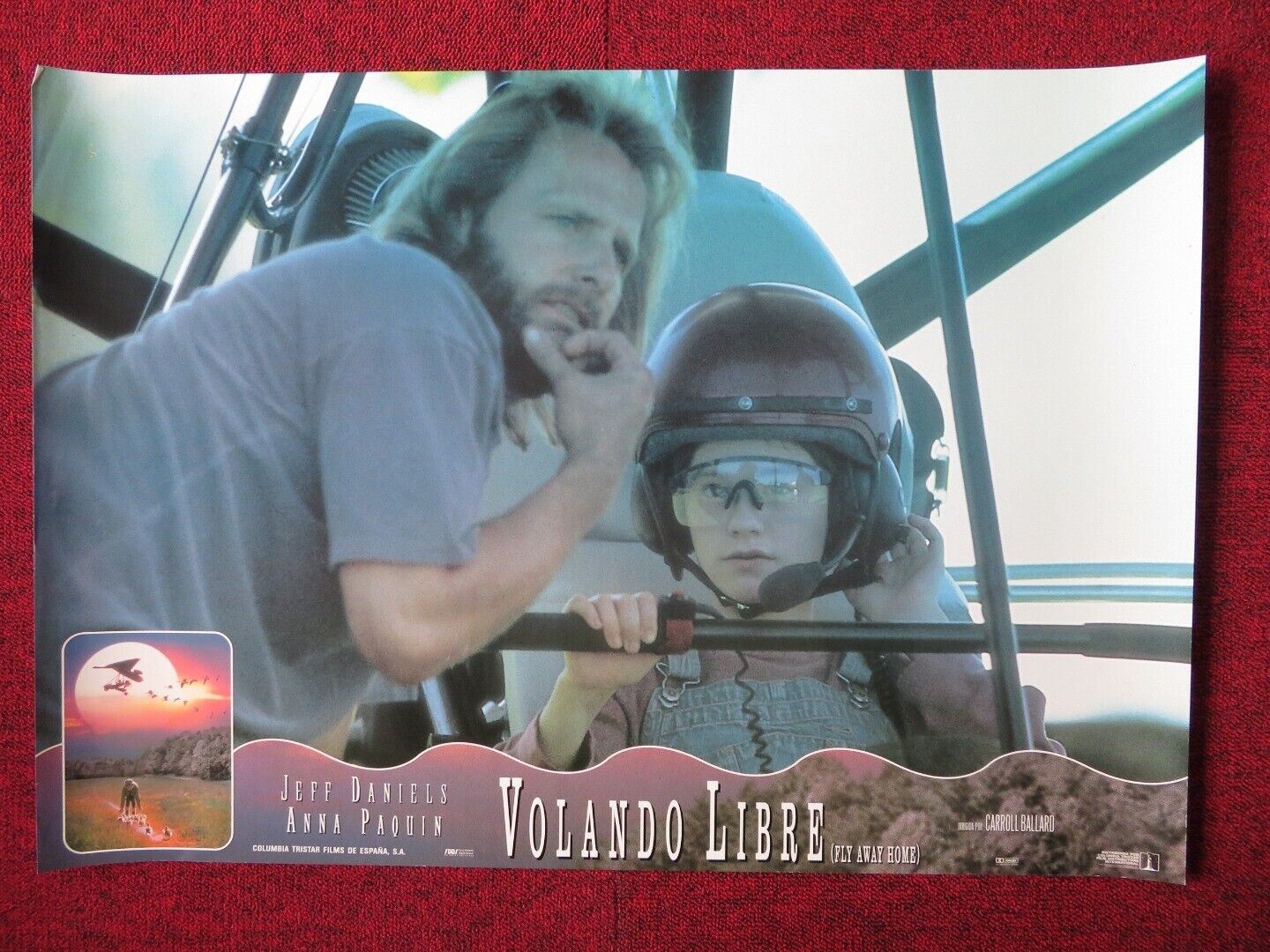 FLY AWAY HOME - A ITALIAN FOTOBUSTA POSTER JEFF DANIELS ANNA PAQUIN 1996 Movie posters