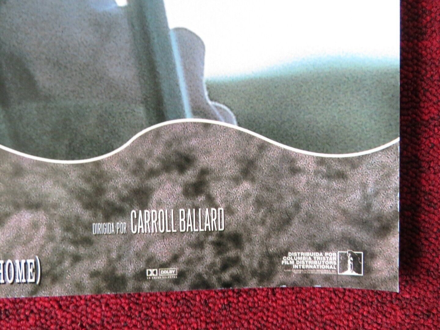 FLY AWAY HOME - A ITALIAN FOTOBUSTA POSTER JEFF DANIELS ANNA PAQUIN 1996 Movie posters