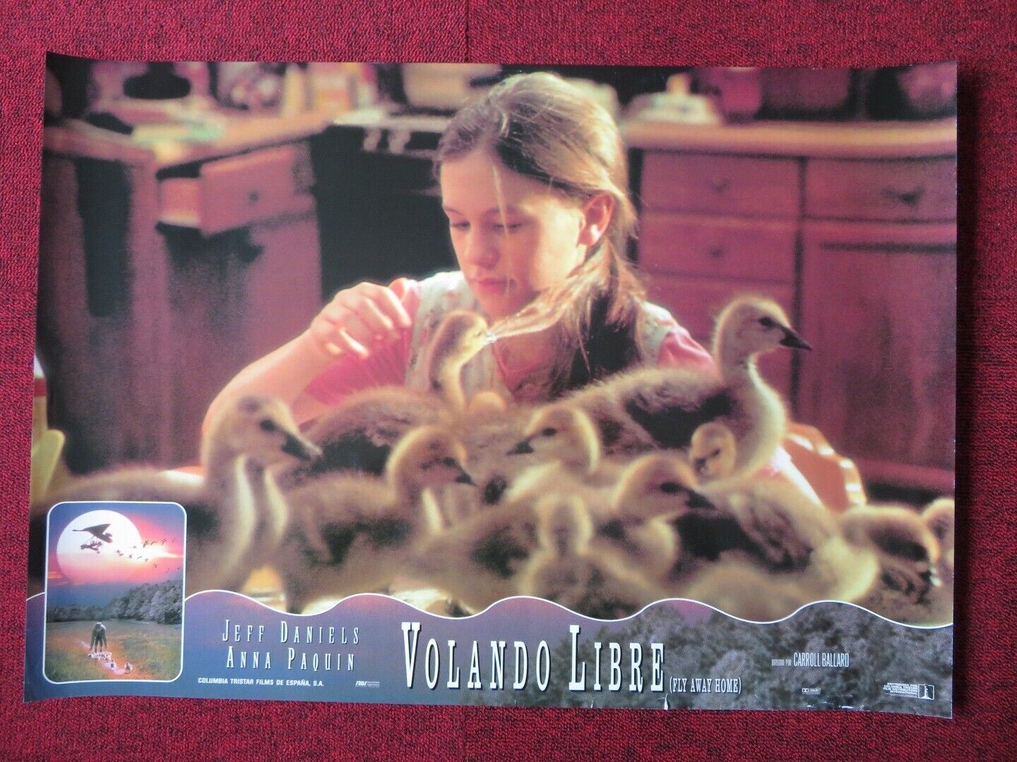 FLY AWAY HOME - B ITALIAN FOTOBUSTA POSTER JEFF DANIELS ANNA PAQUIN 1996 Movie posters