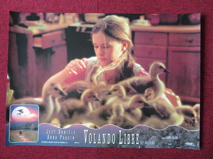 FLY AWAY HOME - B ITALIAN FOTOBUSTA POSTER JEFF DANIELS ANNA PAQUIN 1996 Movie posters