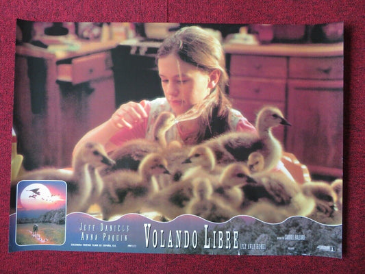 FLY AWAY HOME - B ITALIAN FOTOBUSTA POSTER JEFF DANIELS ANNA PAQUIN 1996 Movie posters