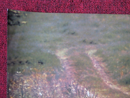 FLY AWAY HOME - C ITALIAN FOTOBUSTA POSTER JEFF DANIELS ANNA PAQUIN 1996 Movie posters