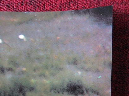 FLY AWAY HOME - C ITALIAN FOTOBUSTA POSTER JEFF DANIELS ANNA PAQUIN 1996 Movie posters