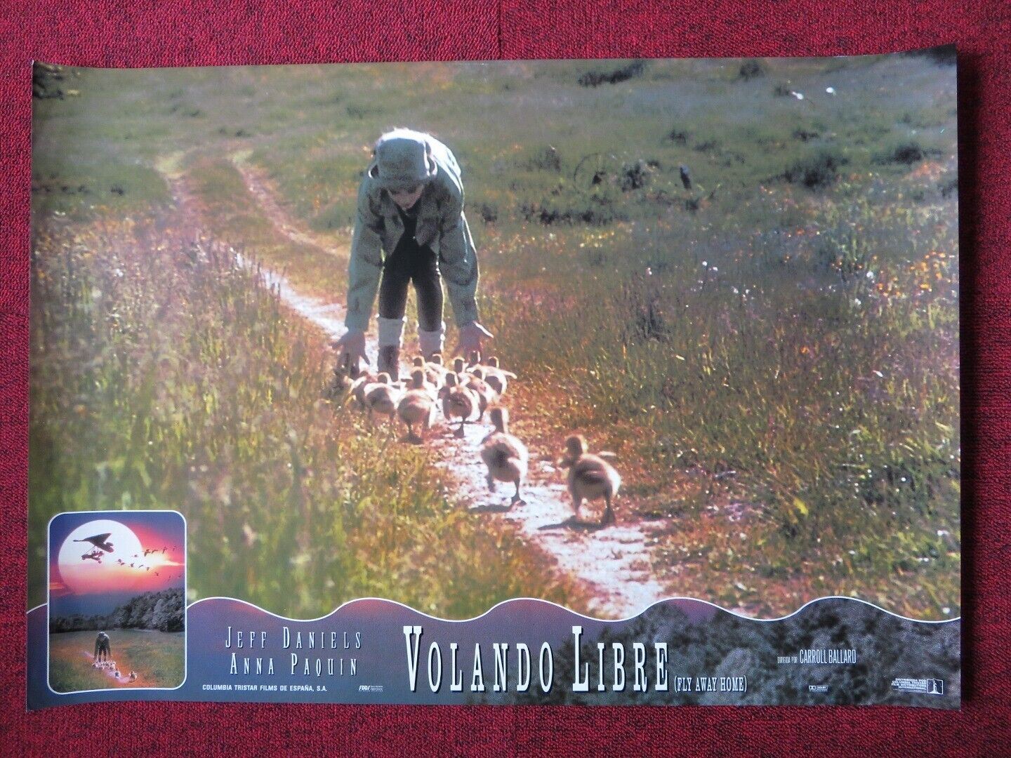 FLY AWAY HOME - C ITALIAN FOTOBUSTA POSTER JEFF DANIELS ANNA PAQUIN 1996 Movie posters