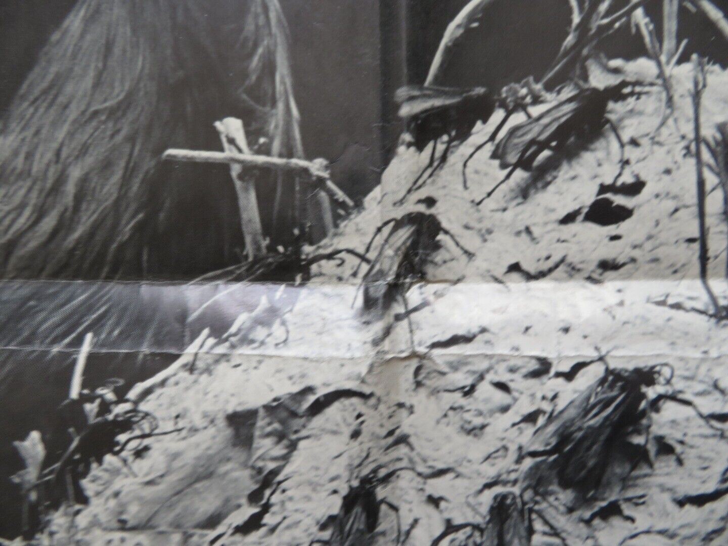 FOOD OF THE GODS FOLDED US ONE SHEET POSTER H.G. WELLS MARJOE GORTNER 1976 - Rendezvous Cinema