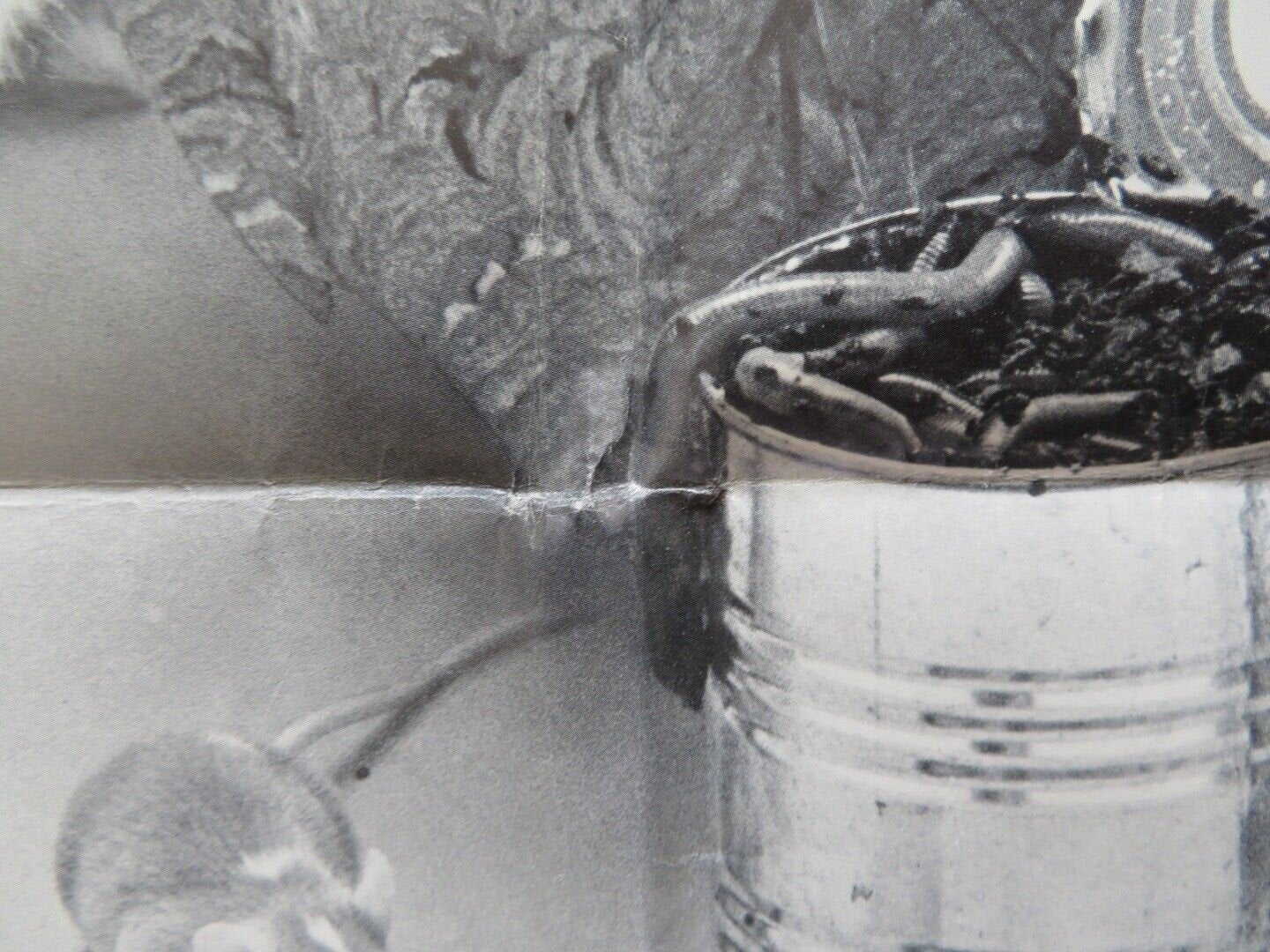 FOOD OF THE GODS FOLDED US ONE SHEET POSTER H.G. WELLS MARJOE GORTNER 1976 - Rendezvous Cinema