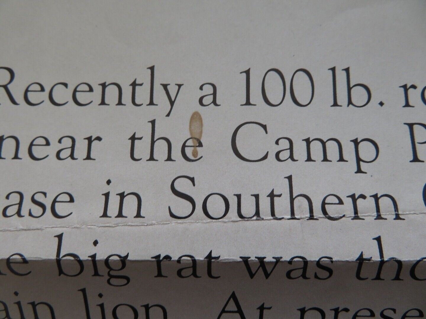 FOOD OF THE GODS FOLDED US ONE SHEET POSTER H.G. WELLS MARJOE GORTNER 1976 - Rendezvous Cinema