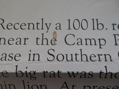 FOOD OF THE GODS FOLDED US ONE SHEET POSTER H.G. WELLS MARJOE GORTNER 1976 - Rendezvous Cinema