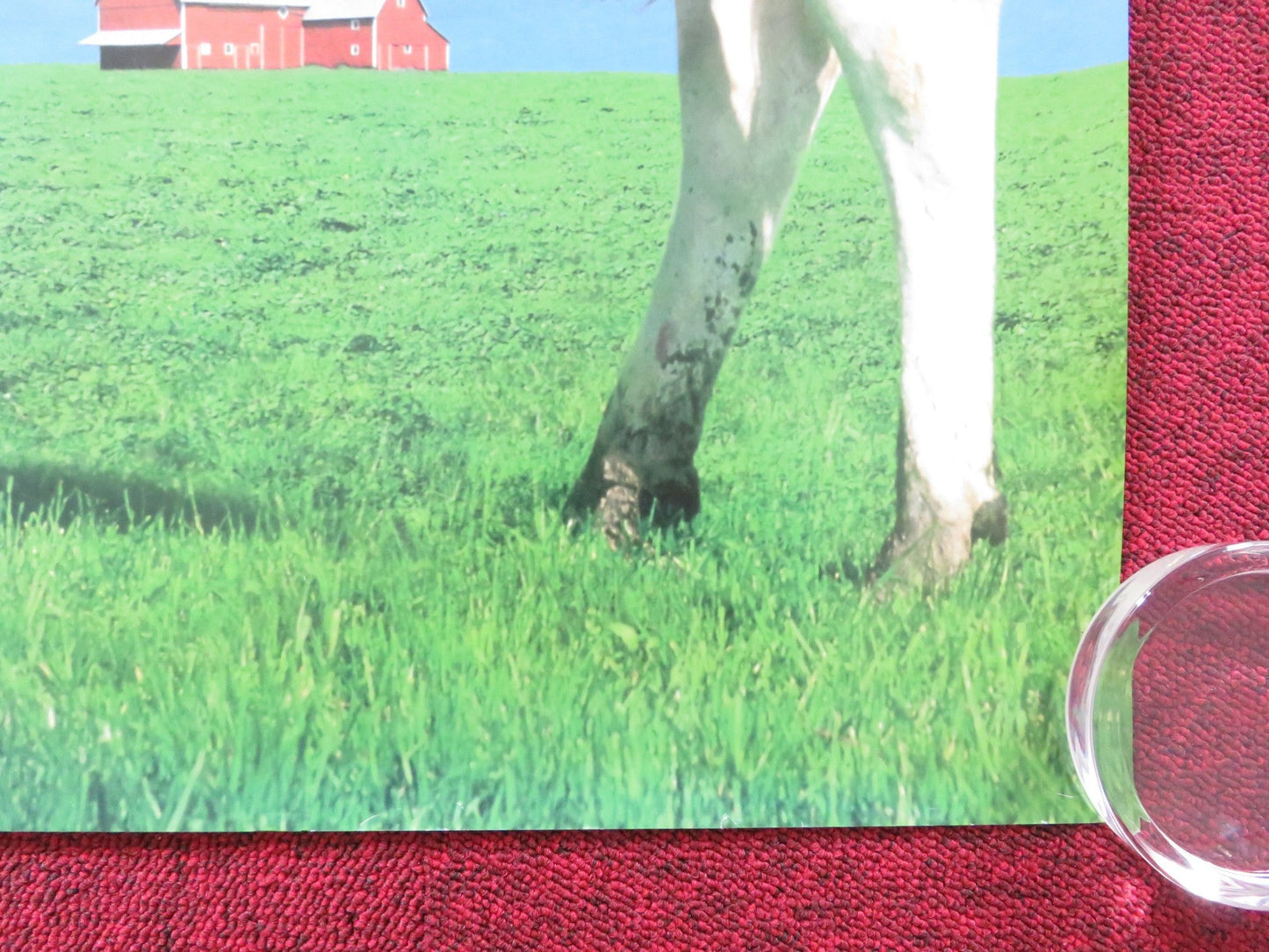 FOR RICHER OR POORER UK QUAD (30"x40") ROLLED POSTER TIM ALLEN KIRSTIE ALLEY 199 Rendezvous Cinema Movie posters