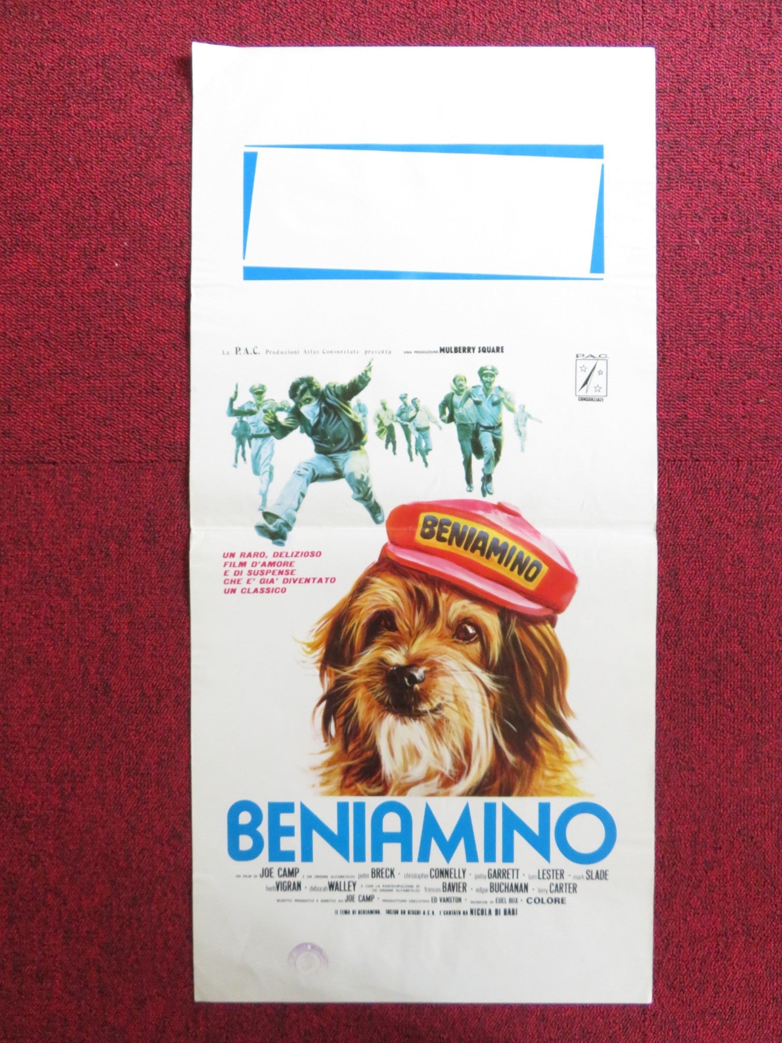 FOR THE LOVE OF BENJI ITALIAN LOCANDINA POSTER PETER BRECK C. CONNELLY 1977 Rendezvous Cinema Movie posters