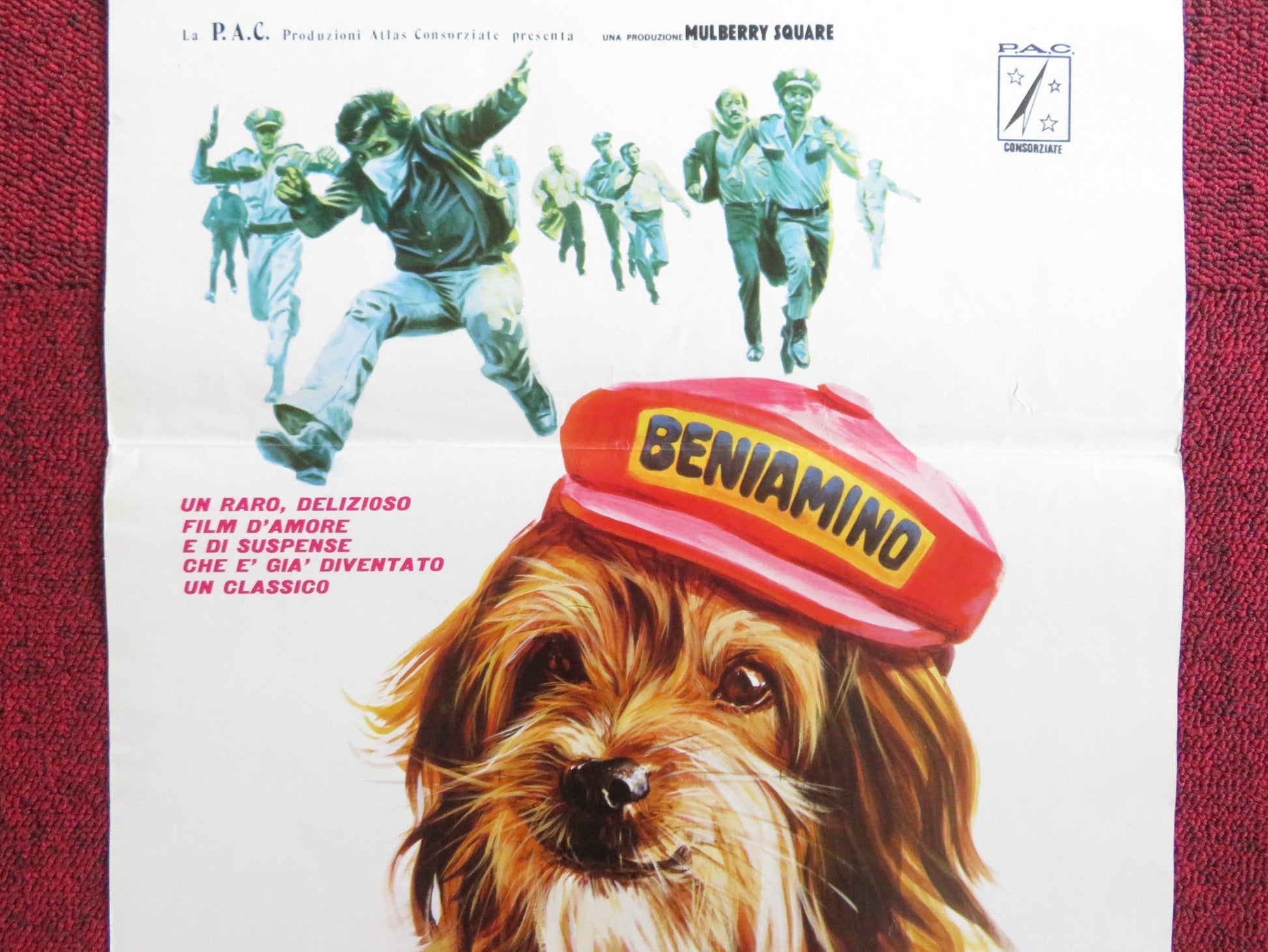 FOR THE LOVE OF BENJI ITALIAN LOCANDINA POSTER PETER BRECK C. CONNELLY 1977 Rendezvous Cinema Movie posters