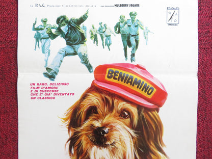 FOR THE LOVE OF BENJI ITALIAN LOCANDINA POSTER PETER BRECK C. CONNELLY 1977 Rendezvous Cinema Movie posters