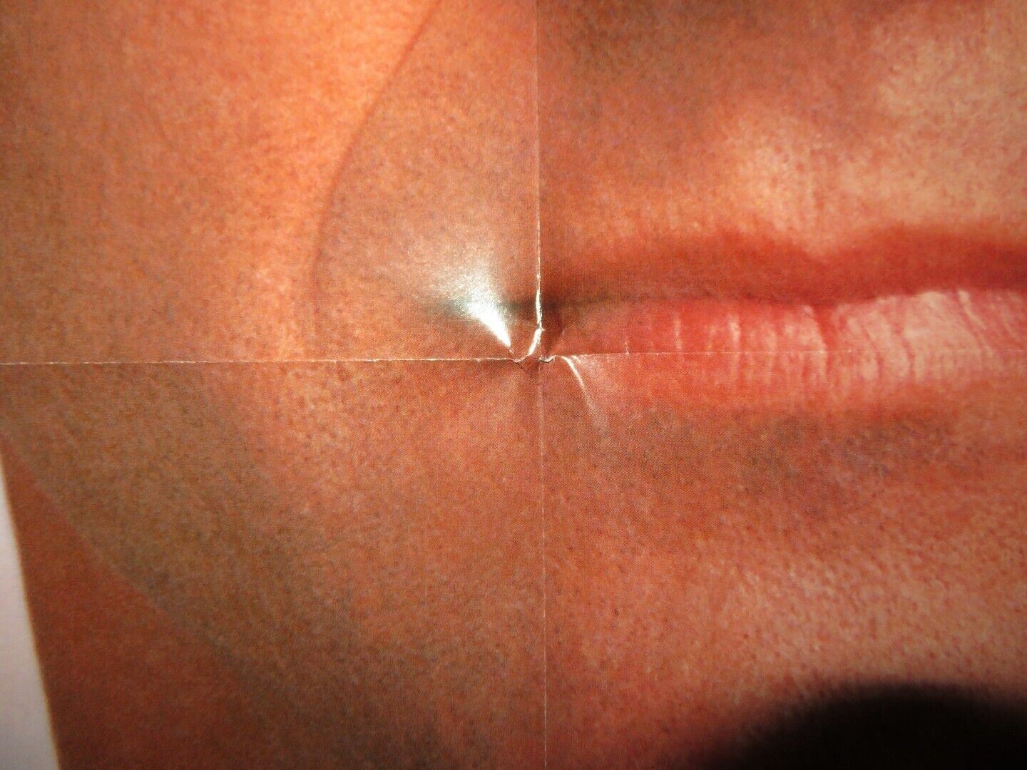 FOREVER YOUNG FOLDED US ONE SHEET POSTER MEL GIBSON JAMIE LEE CURTIS 1992 Movie posters