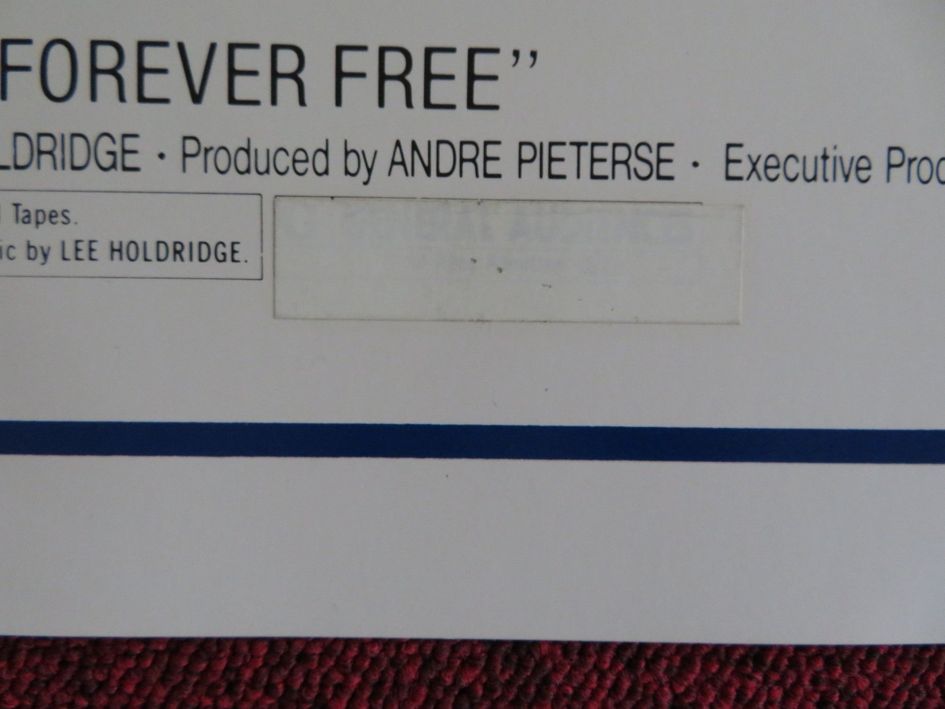 FOREVER YOUNG, FOREVER FREE US HALF SHEET (22"x 28") POSTER JOSE FERRER 1976 Rendezvous Cinema Movie posters