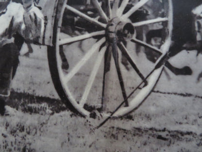 FORT OSAGE - C ITALIAN FOTOBUSTA POSTER ROD CAMERON JANE NIGH 1952 Rendezvous Cinema Movie posters