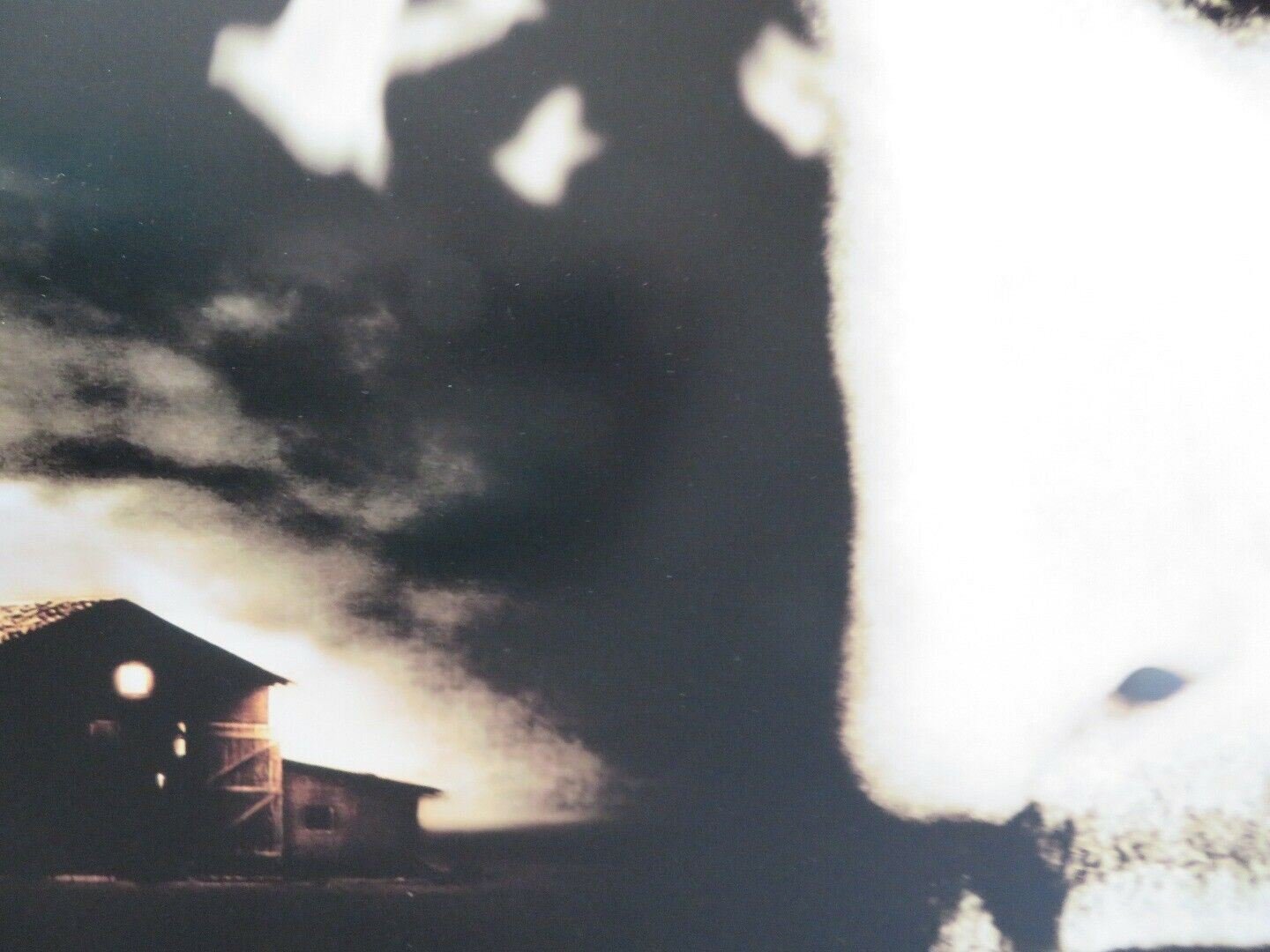 FRAILTY US ONE SHEET ROLLED POSTER BILL PAXTON MATTHEW MCCONAUGHEY 2001 Movie posters