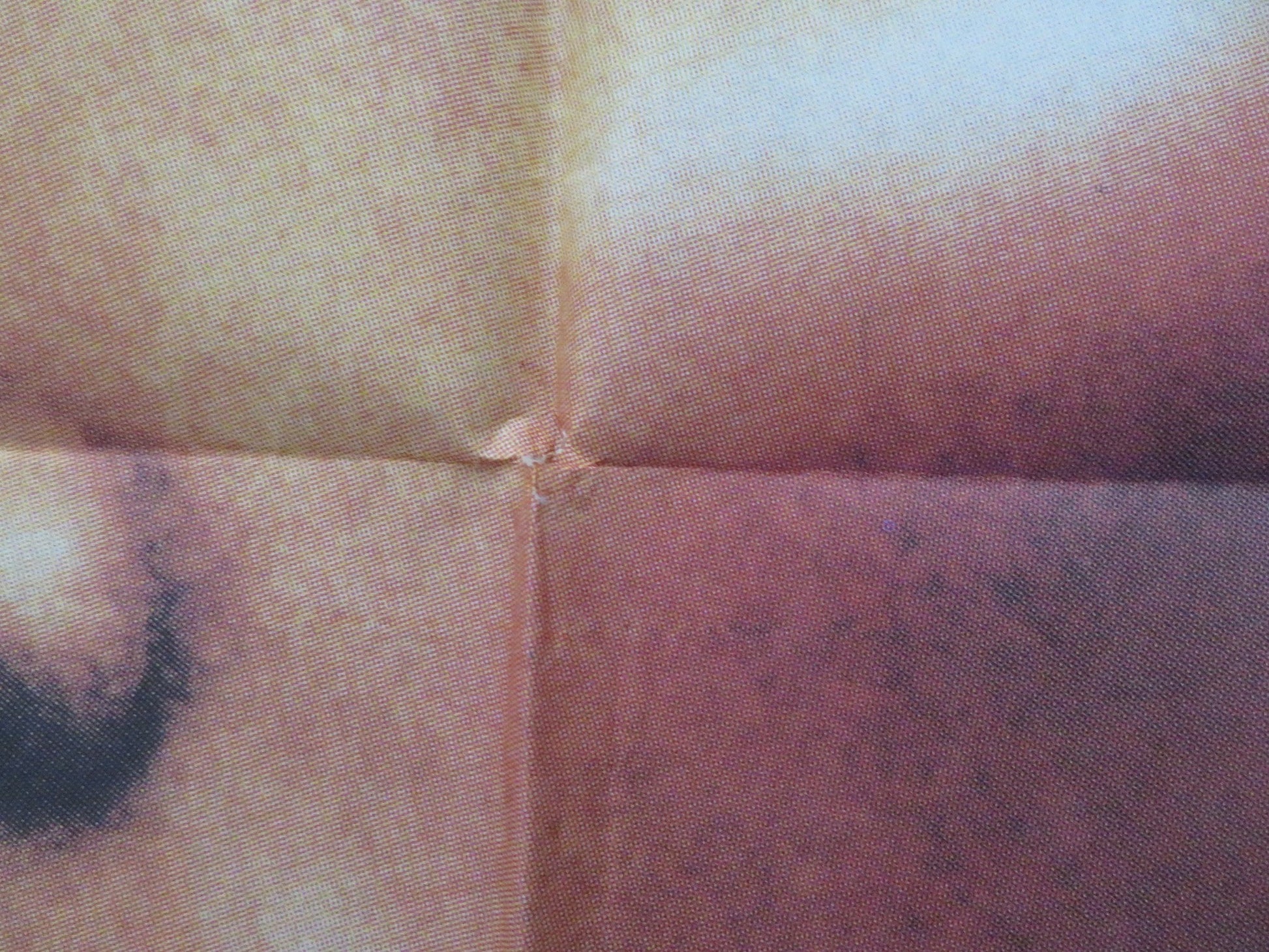 FRANCES FOLDED SPANISH POSTER JESSICA LANGE JONATHAN BANKS 1982 Rendezvous Cinema Movie posters