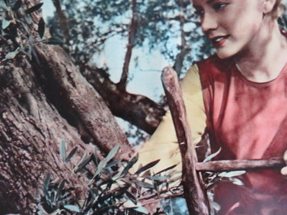 FRANCIS OF ASSISI - E ITALIAN FOTOBUSTA POSTER BRADFORD DILLMAN D. HART 1961 Rendezvous Cinema Movie posters